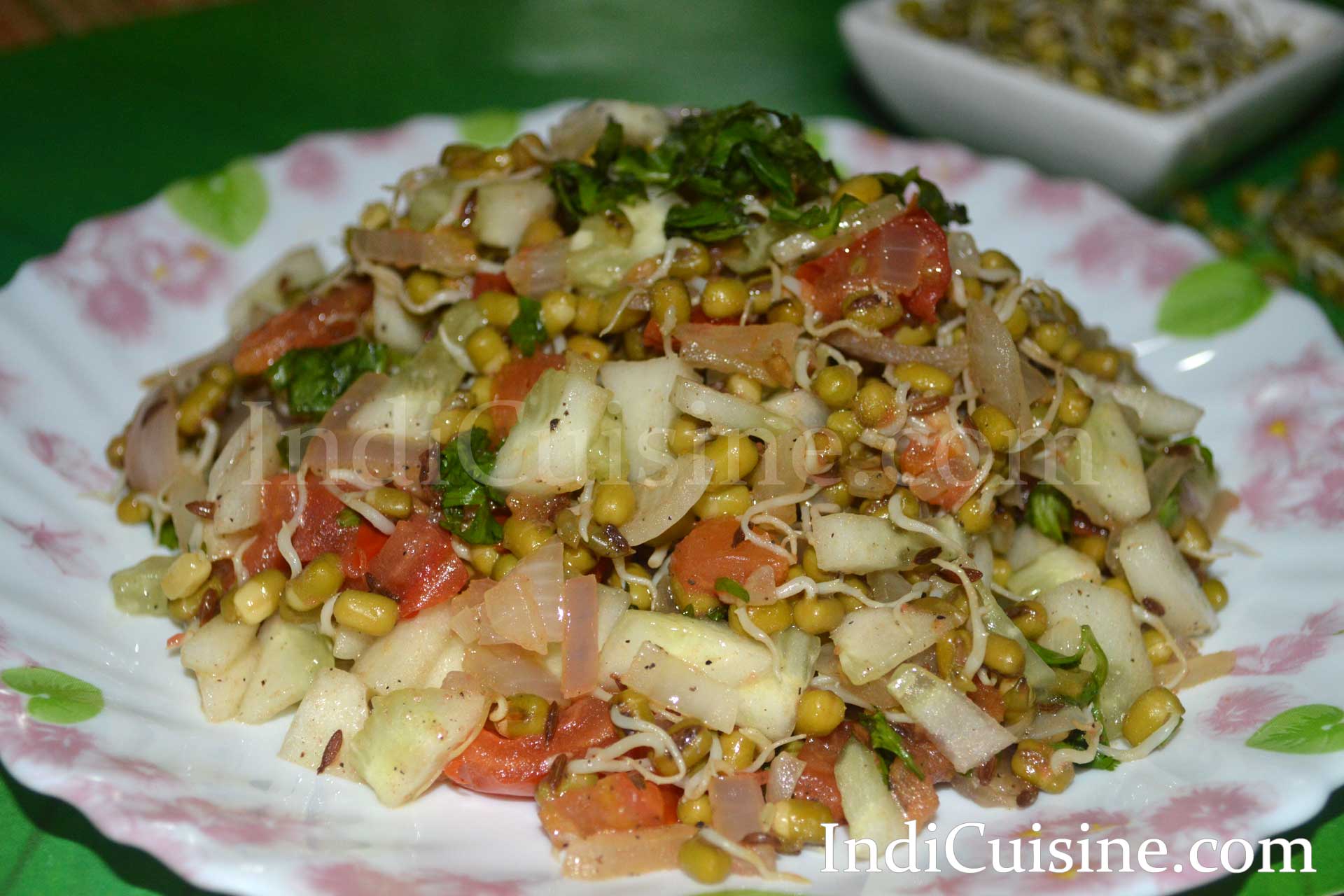 Moong Sprouts Fry, How to make green moong sprouts, sprouts stir fry image